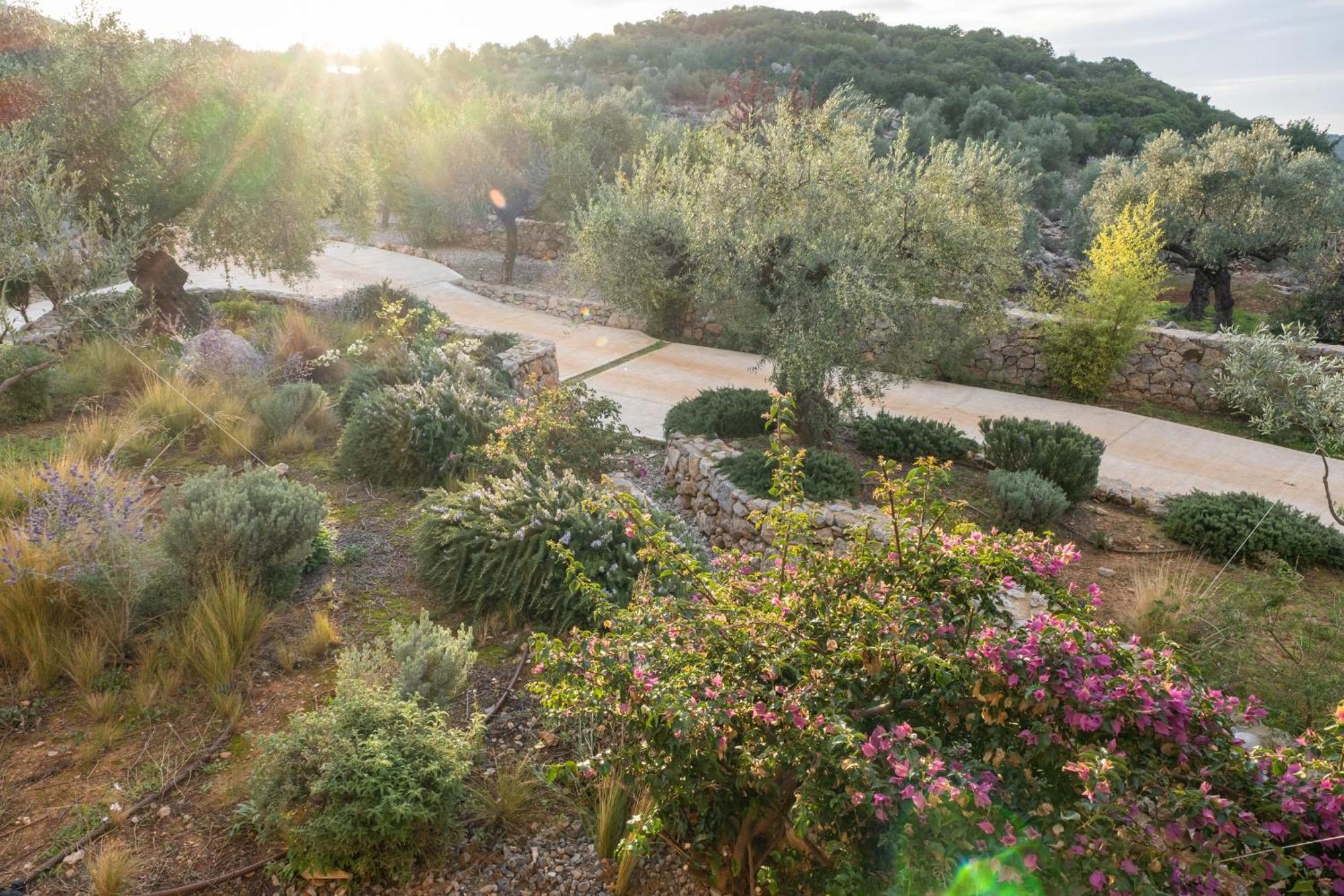 Zen Rocks Resort Kalianeika Εξωτερικό φωτογραφία